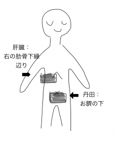 こんにゃく湿布肝臓、丹田
