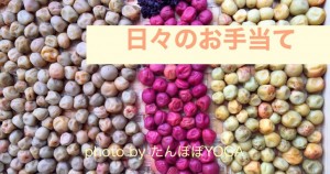 日々のお手当てについて