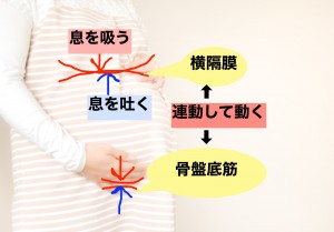 腹式呼吸