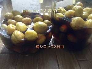 梅シロップ3日目