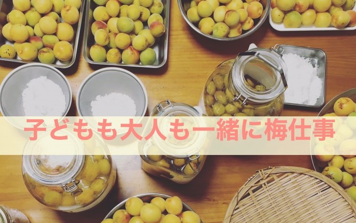 梅仕事
