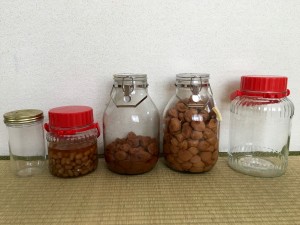 保存瓶