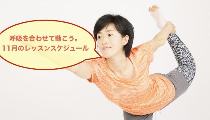 11月のスケジュール